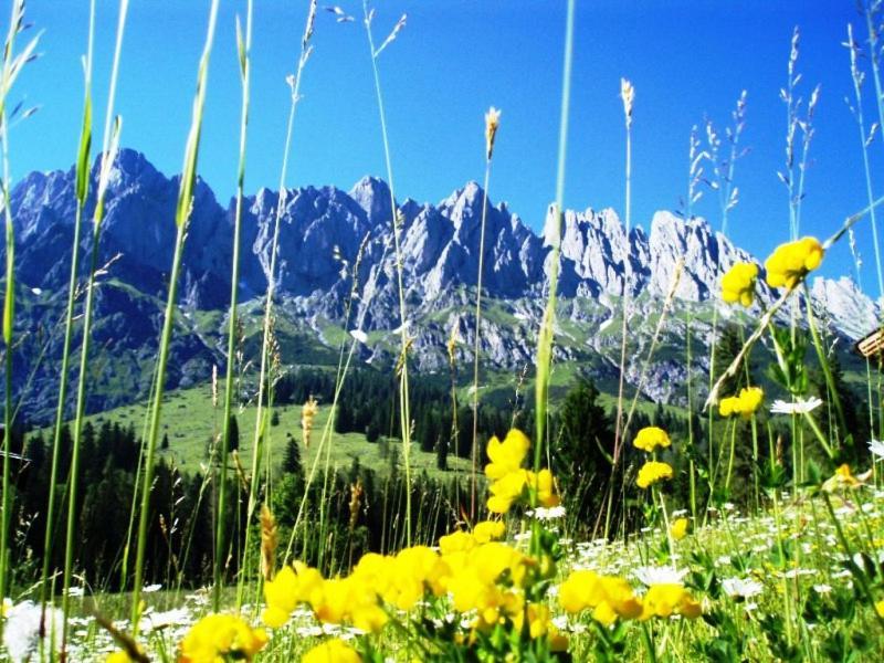 Gaestehaus Gschwandtner Mühlbach am Hochkönig Exteriör bild